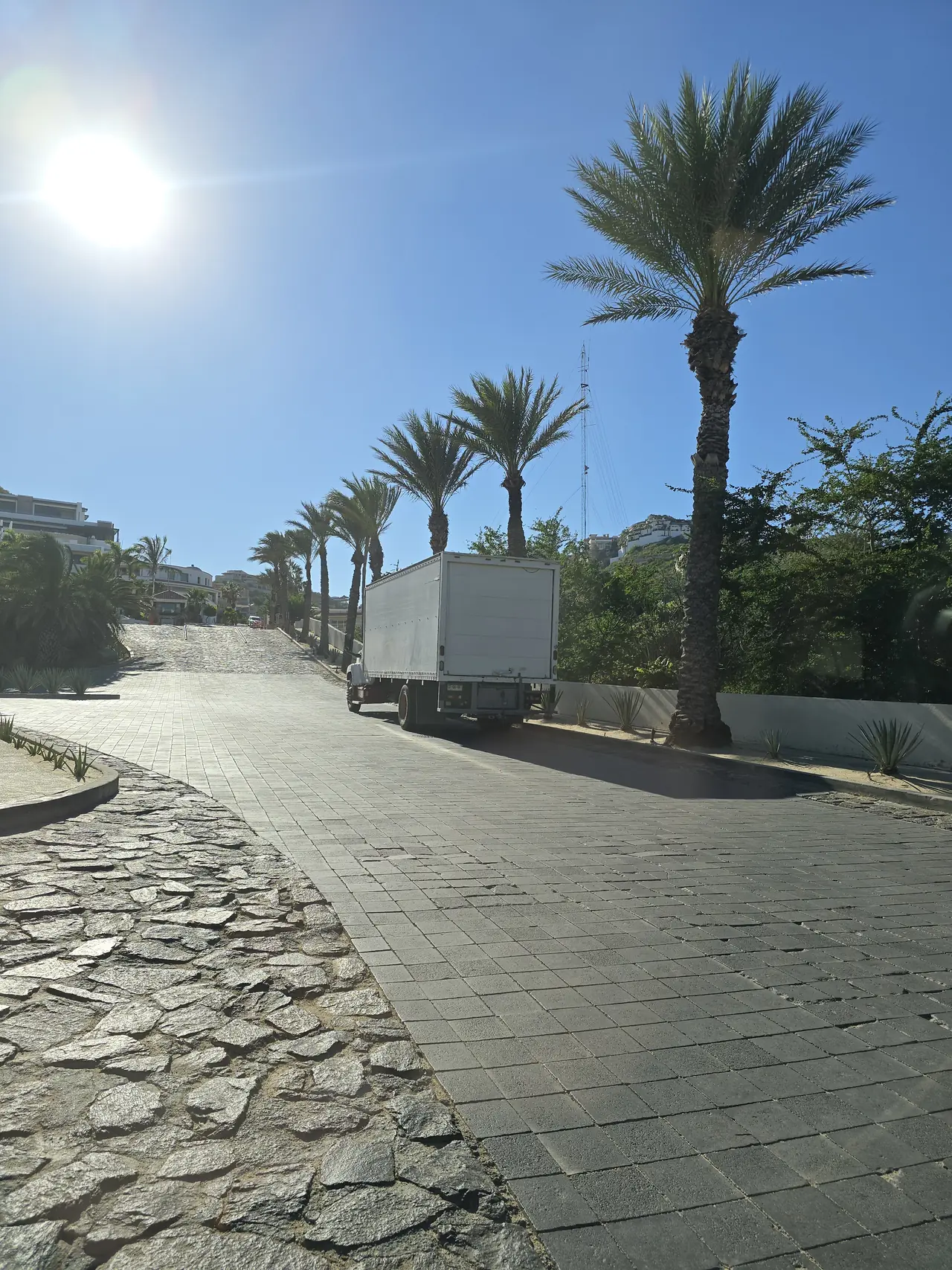 Los Cabos